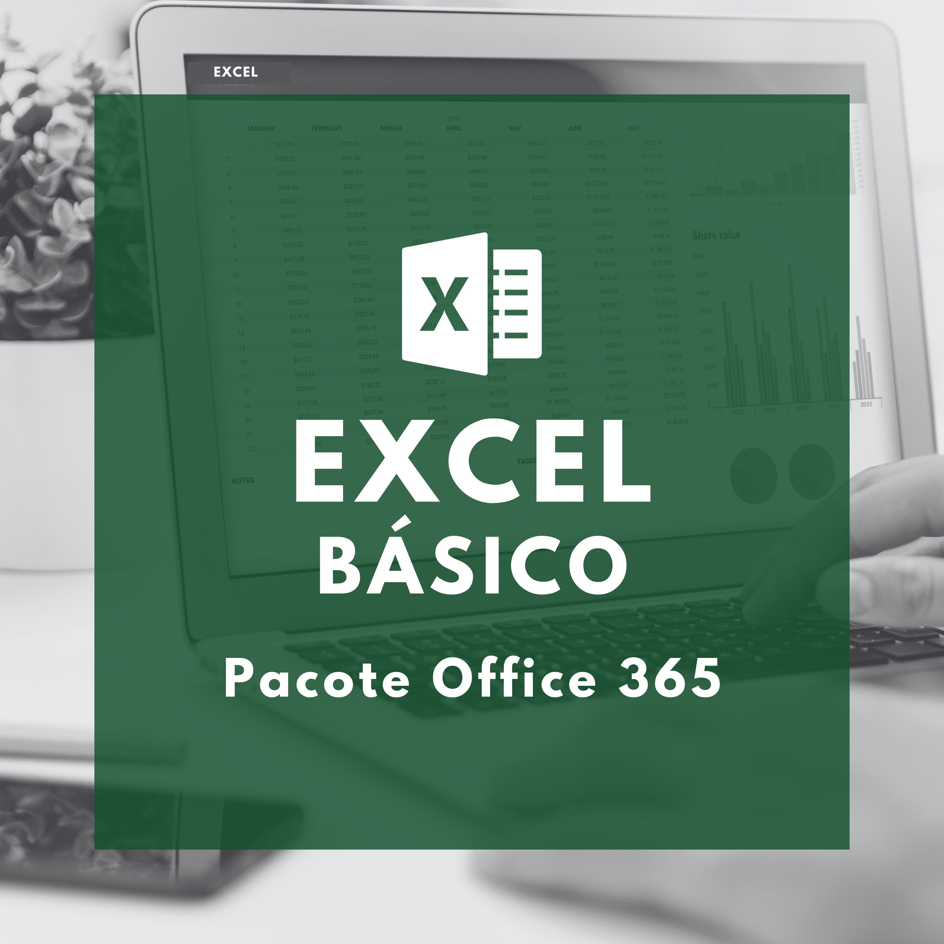 Pacote Office 365 - Excel Básico